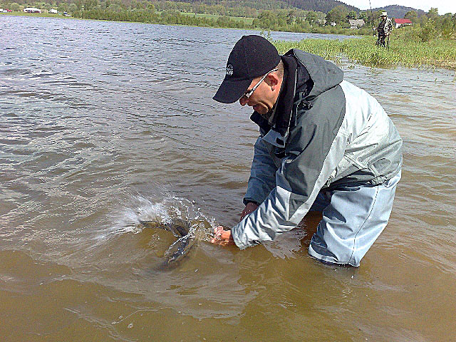 Złów i wypuść - www.catchandrelease.pl - Catch&Release