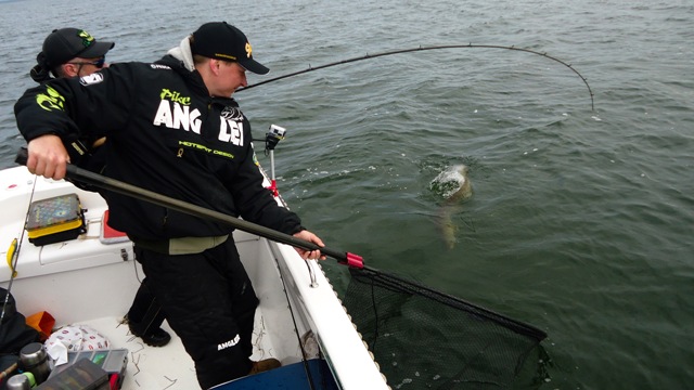 Złów i wypuść - www.catchandrelease.pl - C&R