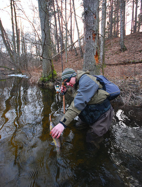 Catch and release - www.catchandrelease.pl - Złów i wypuść