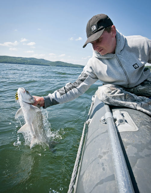 Catch and release - www.catchandrelease.pl - Złów i wypuść
